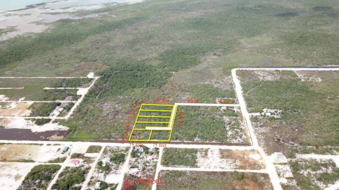Grand Belizean Estates Lot