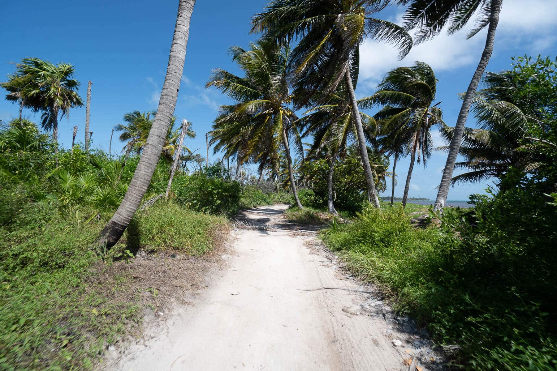 Beautiful 1.81 Acre Property with 200ft of Beachfront on Northern Ambergris Caye