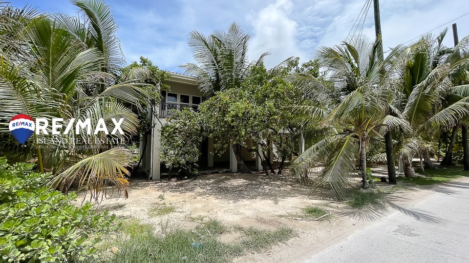 Luxury Home in Tres Cocos Area